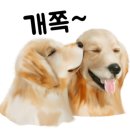 닥터호오 동물병원 이미지