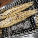 풍천남도 민물장어 이미지