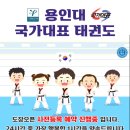 용인대스카이태권도 이미지