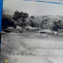 삼평초등학교 이미지