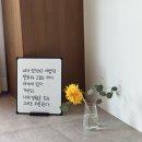 숨쉬는고래 이미지
