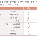 원핵생물 스핑고지질 이미지