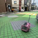 엘림동물병원 이미지