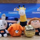 🏀KBL 마스코트 '공아지' 인형 구매 리뷰🐶