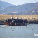 (주)포커스투어 이미지