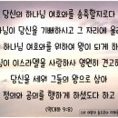 새마태양광발전소 | [매일성경큐티] 2020.11.11(수) 역대하 8:17~9:12 “스바 여왕이 솔로몬을 찾아오다”