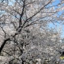 (주)에슬로우 이미지
