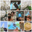 꼴라쥬