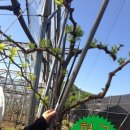 형근농장 이미지