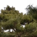 금마3농장 이미지