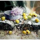 수채화2 이미지