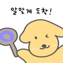 창녕갈비