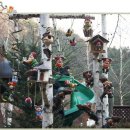 꿈에 선율 이미지