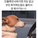 막구 | 됴쿄외노자, 백수가 되고 한국 본가 한달살이 후기 (2)