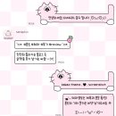 플라워샤샤 이미지