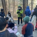 숲체험 리틀 포레스트 이미지
