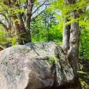 르망당구장 이미지