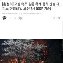 [총정리] 고성·속초·강릉 옥계·동해 산불 대피소 현황 (5일 오전 2시 50분 기준) 이미지