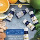 교정요가 이미지