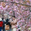 경주세무서-2 이미지