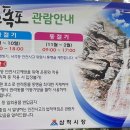 미인목장 이미지