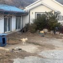 스테이외송 이미지