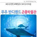 무주 반디랜드 곤충박물관 관광 해설투어