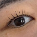 카페유로 | 인천 부평 카페 ‘유로’ 후기 &amp; 주말 혼자놀기(26.1.17)