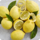 레몬라이프 이미지