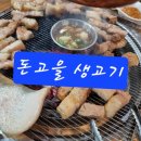 돈고을생고기