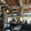[대전 죽동 | 다온by모루] 오믈렛, 피넛버터 닭다리살 샐러드 우니 감태 파스타, 음식이 너무 맛있는...