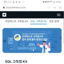 프로그래머스 SQL test kit 추천드립니다 이미지