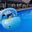 횡성펜션 숲속의쥬얼리 이미지