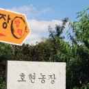 이창수농장 이미지