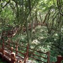 장수물공원 이미지