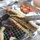 회랑장어랑 이미지