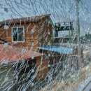 동박새우는집 이미지