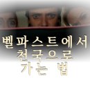 로신 | 코미디 스릴러 <벨파스트에서 천국으로 가는 법> 웃기지만 감동적이야! 소개/줄거리/현지평점/후기까지