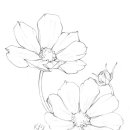 서울대스쿨링