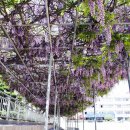 무진중학교 이미지