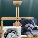 도톨그루밍 이미지