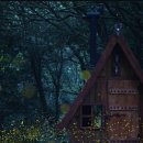 제주 반딧불 | 반딧불을 볼수있는 제주곶자왈 산양큰엉곶 반딧불탐방후기