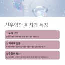 신우공간