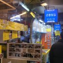 회41호