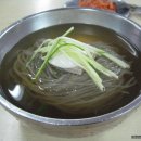 옥천냉면 Daum카페