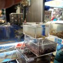 충무활어횟집 이미지