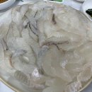 고흥막회집