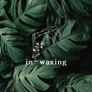 in_waxing 이미지