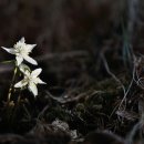 합수농장 이미지