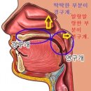 노래A | 🎤 미금역 분당보컬학원 VOO STUDIO 원데이 클래스 후기 | 내 노래의 문제점이 뭔지 알게 됐어요